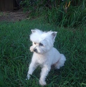 Meet your Posher, Rene